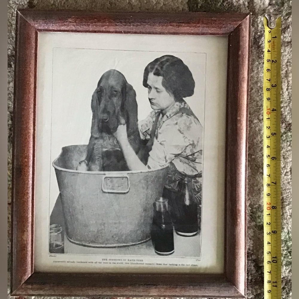 Vintage Bloodhound Bath Time Framed photo Print